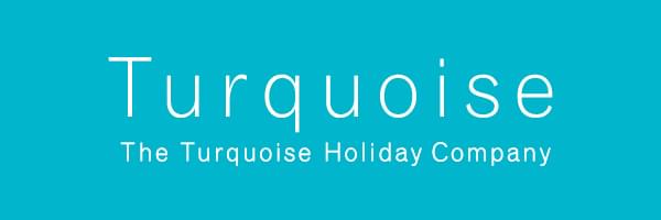 turquoise-logo-white-out-of-pantone-3125-600px